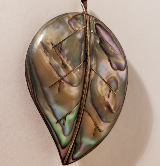 Beautiful Vintage Abalone Brooch - Picture 1 of 4